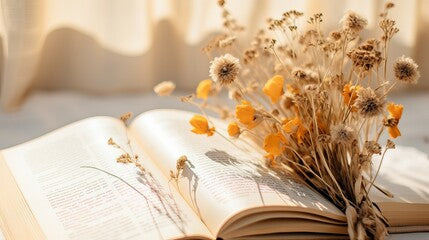 Bookish Vibes