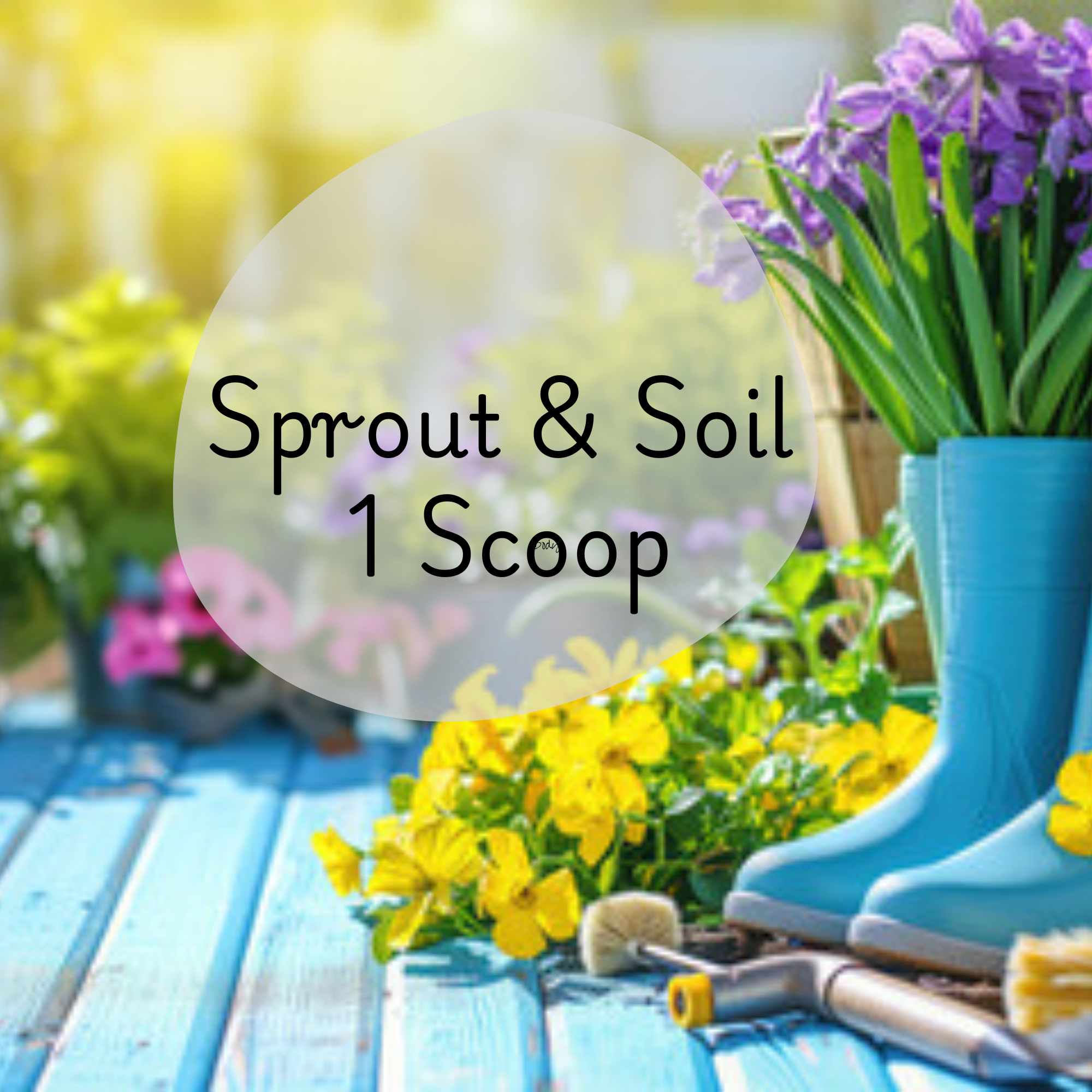 🌱 Sprout & Soil - 1 Scoop 🌱