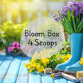 🌼 The Bloom Box – 4 Mystery Scoops 🌿