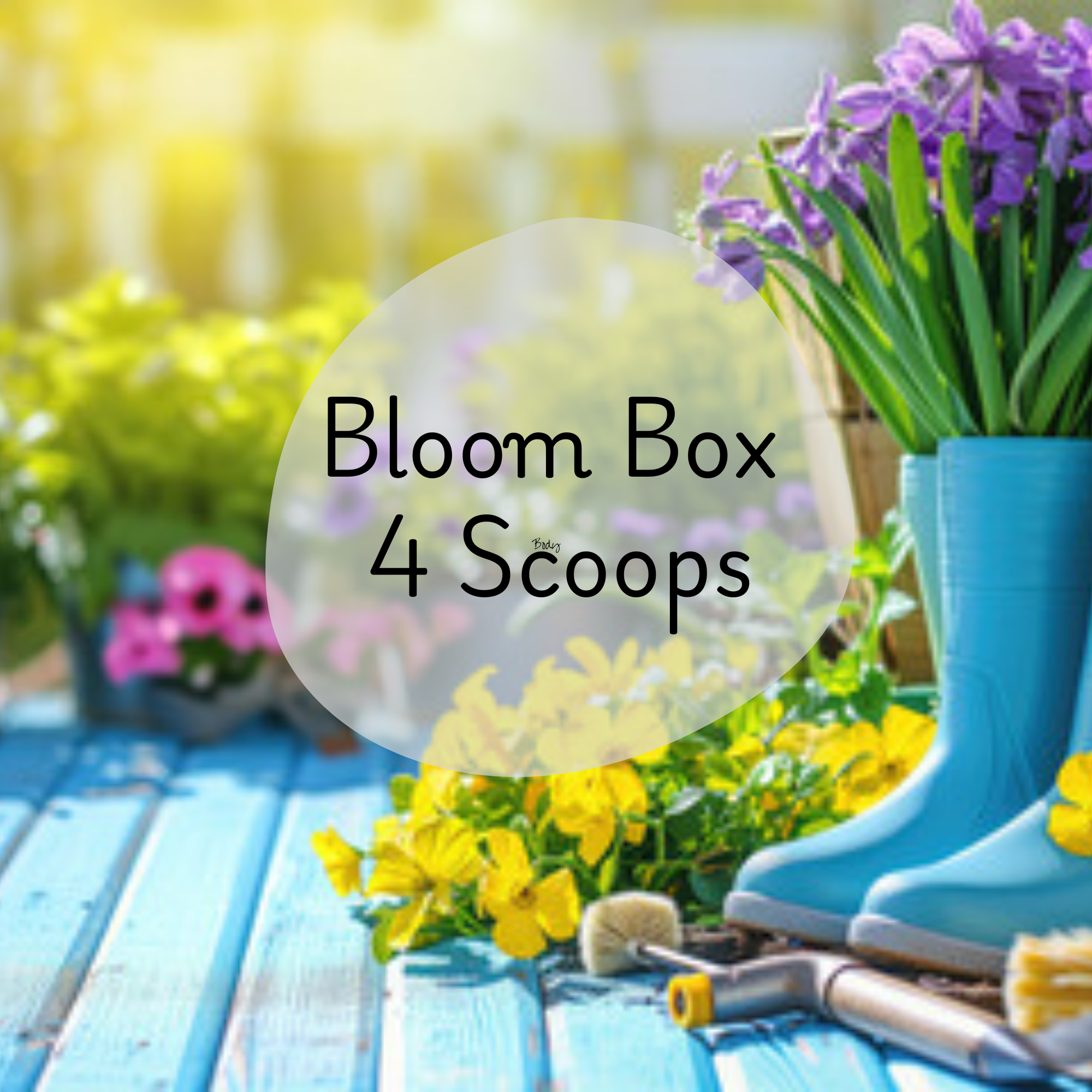 🌼 The Bloom Box – 4 Mystery Scoops 🌿